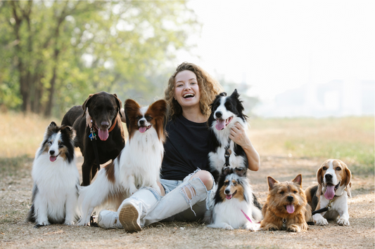 ❤️ Do Dogs and Cats Really Make Our Lives Better?❤️