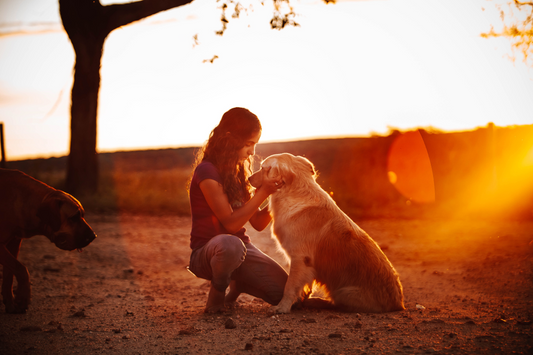 The Impact of Pets on Mental Health