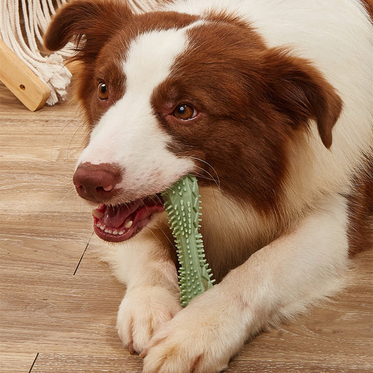 Durable Dog Chew Toy – Cleans Teeth & Satisfies Chewing Instinct! - Pet house