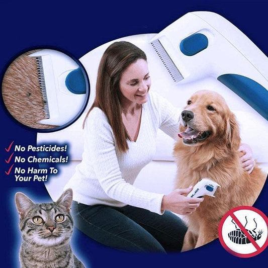 Electric Lice Remover for Pets – Safe, Effective & Easy to Use! - Pet house