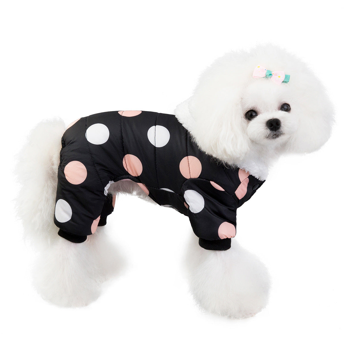 Cozy Polka Dot Pet Coat – Warm Cotton Jacket for All-Four-Leg Coverage - Pet house