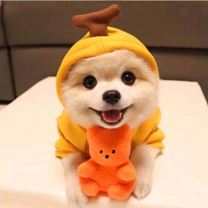 Adorable Fruit-Themed Dog & Cat Hoodie – Soft, Warm & Ultra-Cute! - Pet house