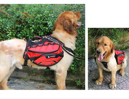 2-in-1 Dog Backpack Carrier & Harness – Waterproof & Adventure-Ready! - Pet house