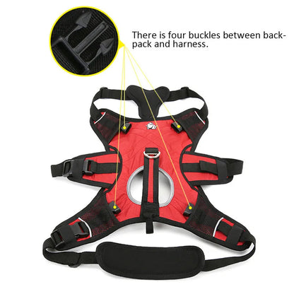 2-in-1 Dog Backpack Carrier & Harness – Waterproof & Adventure-Ready! - Pet house