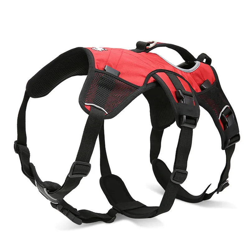 2-in-1 Dog Backpack Carrier & Harness – Waterproof & Adventure-Ready! - Pet house