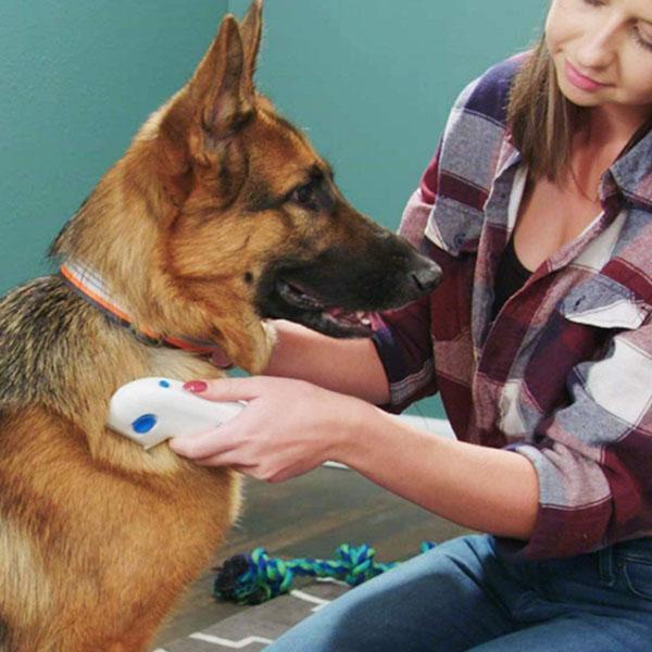 Electric Lice Remover for Pets – Safe, Effective & Easy to Use! - Pet house