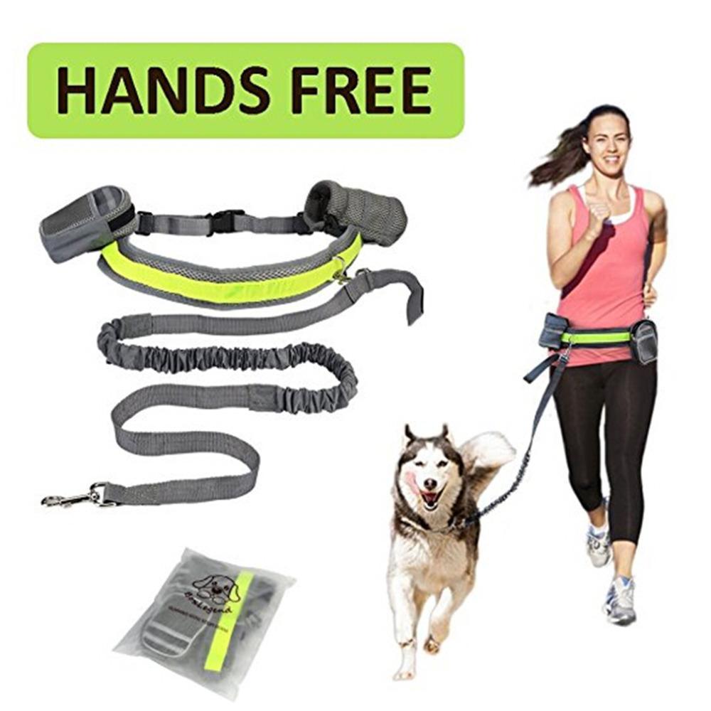 Adjustable Hands-Free Dog Leash – Perfect for Walking, Running & Hiking! - Pet house