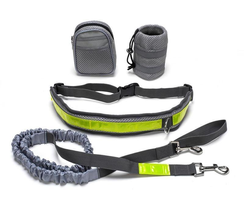 Adjustable Hands-Free Dog Leash – Perfect for Walking, Running & Hiking! - Pet house