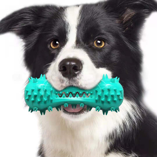 Indestructible Dog Chew Toy – Cleans Teeth & Satisfies Chewing Instinct! - Pet house