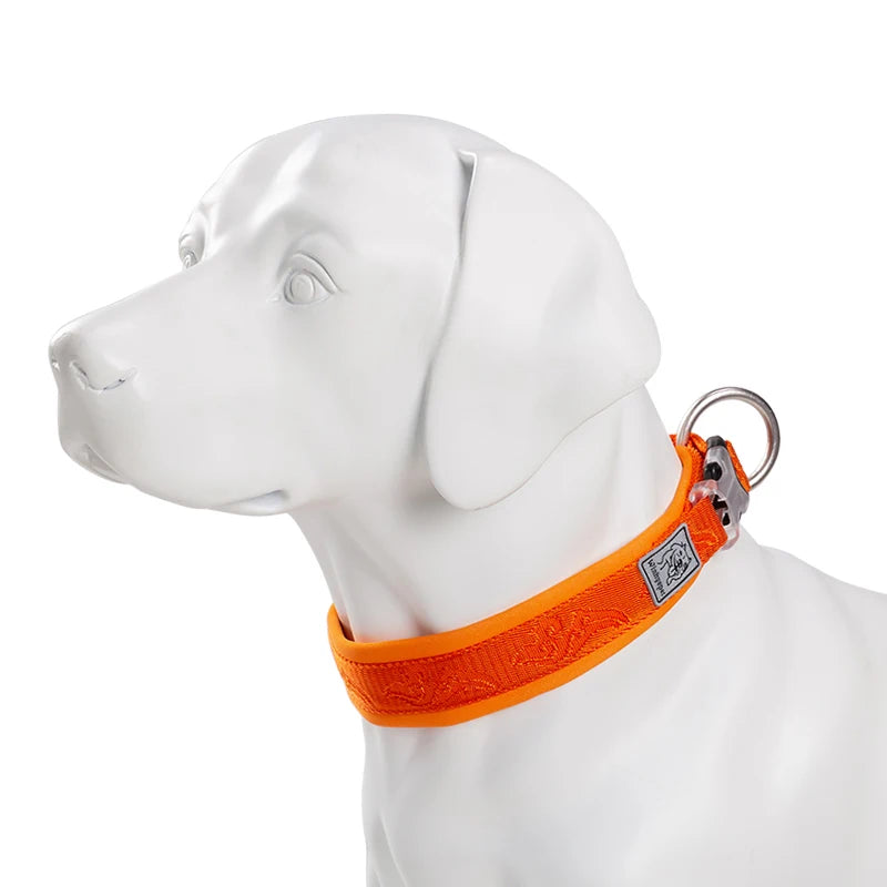 Adjustable Padded Dog Collar – Comfortable, Secure & Pull-Resistant! - Pet house