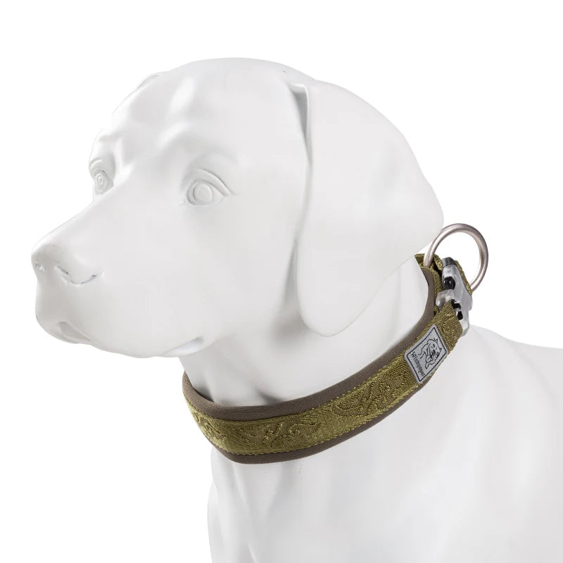 Adjustable Padded Dog Collar – Comfortable, Secure & Pull-Resistant! - Pet house