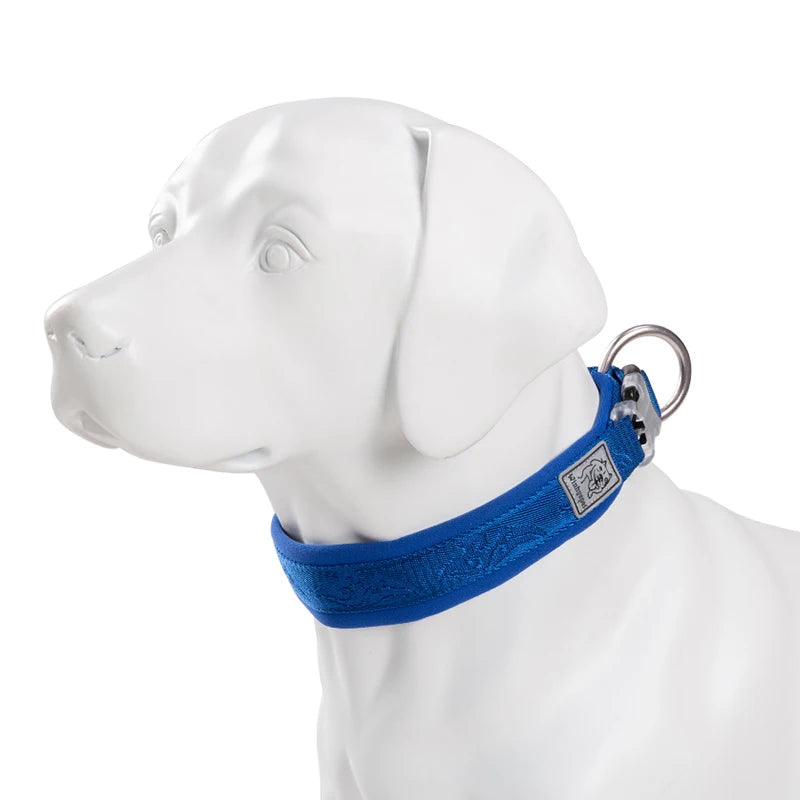 Adjustable Padded Dog Collar – Comfortable, Secure & Pull-Resistant! - Pet house