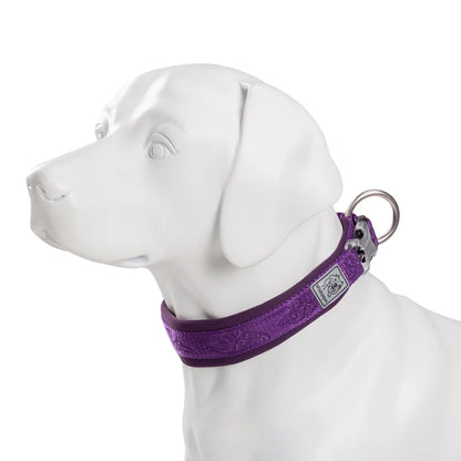 Adjustable Padded Dog Collar – Comfortable, Secure & Pull-Resistant! - Pet house