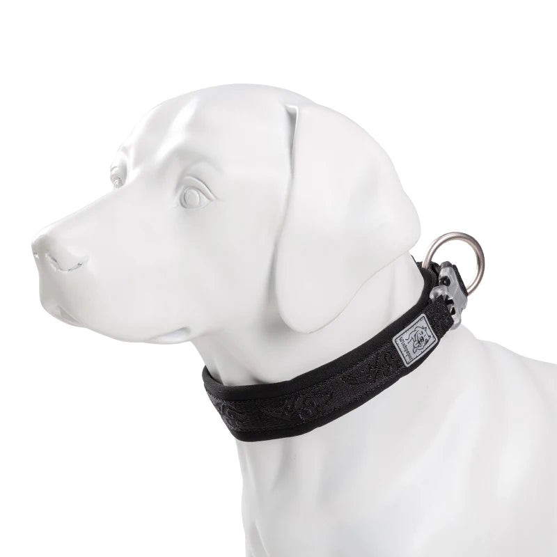 Adjustable Padded Dog Collar – Comfortable, Secure & Pull-Resistant! - Pet house