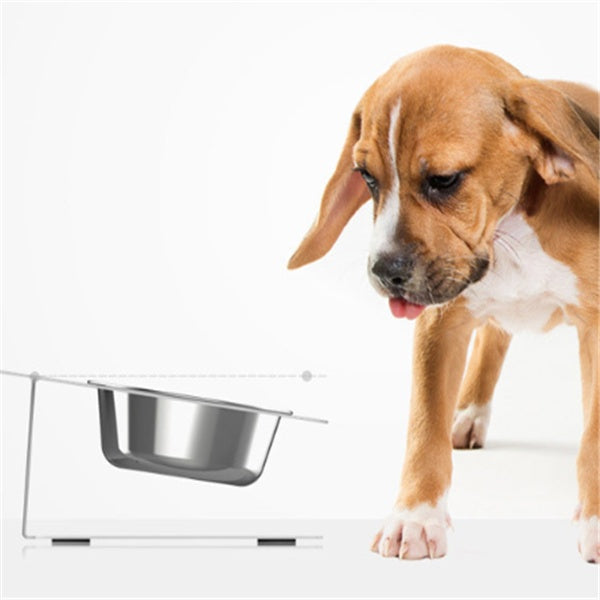 Anti-Spill Pet Feeding Bowl – Stable, Non-Slip & Mess-Free! - Pet house