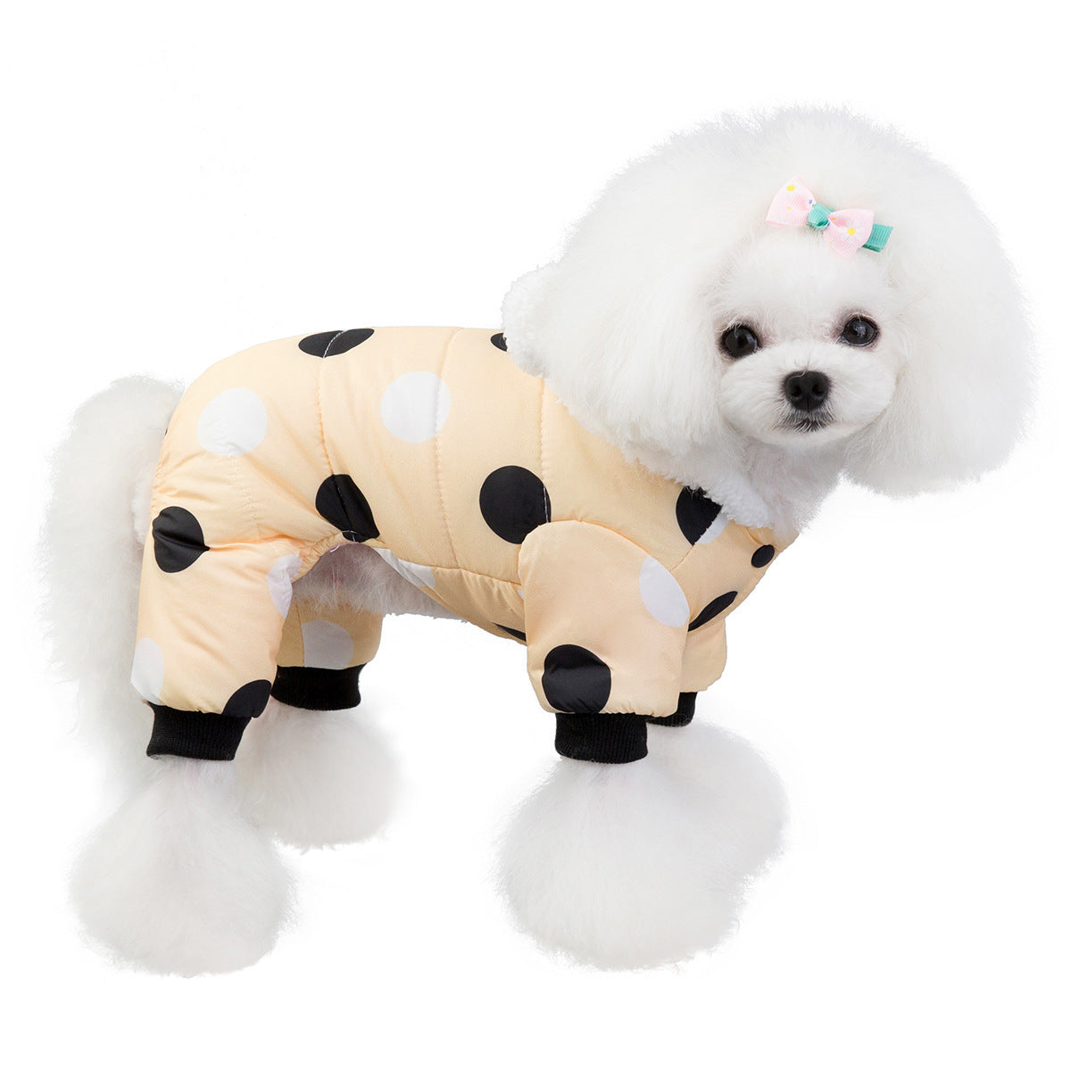 Cozy Polka Dot Pet Coat – Warm Cotton Jacket for All-Four-Leg Coverage - Pet house