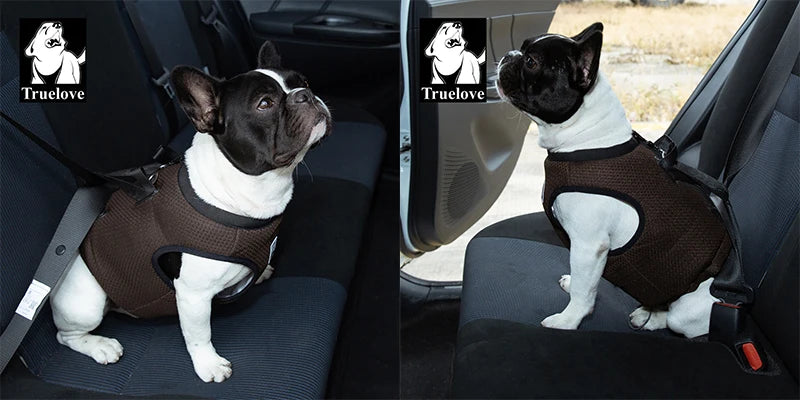 Dog Car Safety Harness – Secure, Adjustable & Comfortable! - Pet house