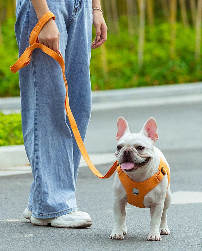 Eco-Friendly Dog Rope Leash – Durable, Breathable & Sustainable! - Pet house