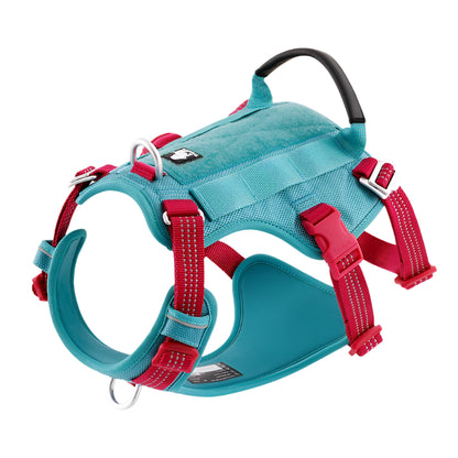 Escape-Proof No-Pull Dog Harness – Secure, Reflective & Padded! - Pet house