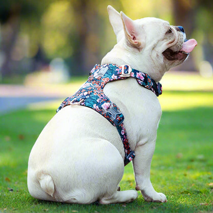 Floral Dog Harness – Stylish, Comfortable & Adjustable! - Pet house