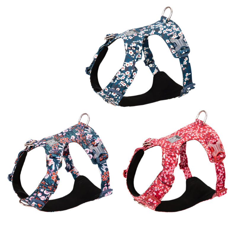 Floral Dog Harness – Stylish, Comfortable & Adjustable! - Pet house