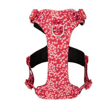 Floral Dog Harness – Stylish, Comfortable & Adjustable! - Pet house