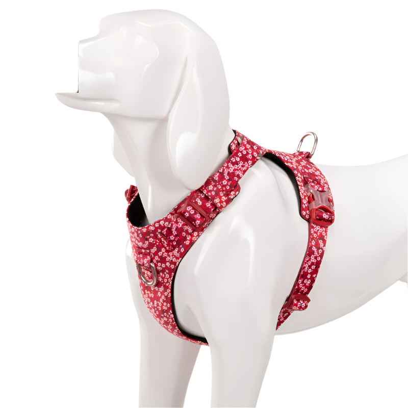 Floral Dog Harness – Stylish, Comfortable & Adjustable! - Pet house