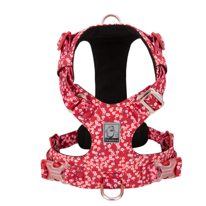 Floral Dog Harness – Stylish, Comfortable & Adjustable! - Pet house