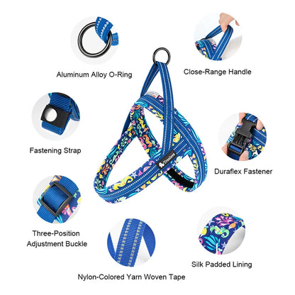 Floral Mesh Padded Dog Harness – Stylish, Breathable & Quick-Fit! - Pet house