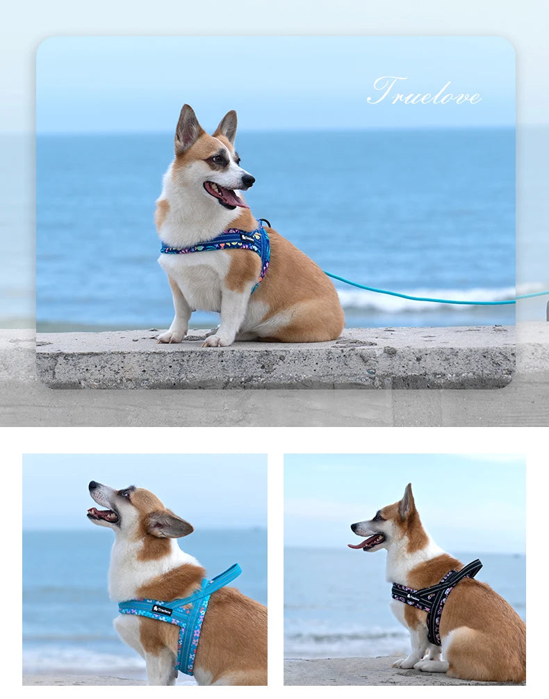 Floral Mesh Padded Dog Harness – Stylish, Breathable & Quick-Fit! - Pet house