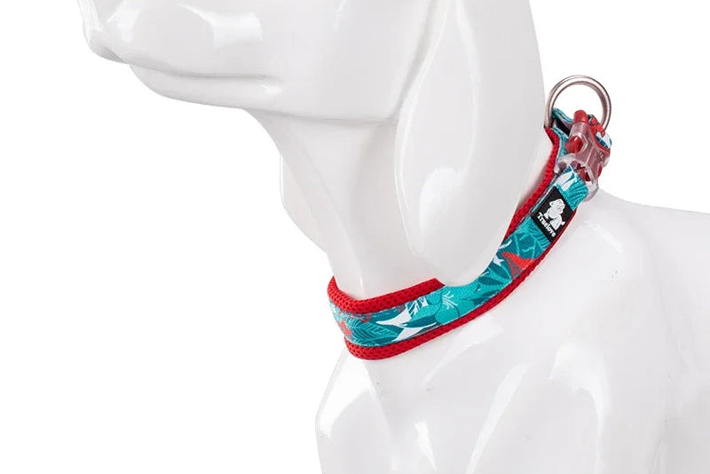 Floral Padded Dog Collar – Stylish, Comfortable & Secure! - Pet house