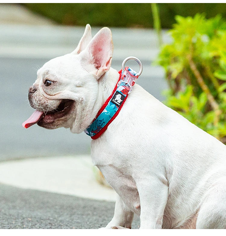 Floral Padded Dog Collar – Stylish, Comfortable & Secure! - Pet house