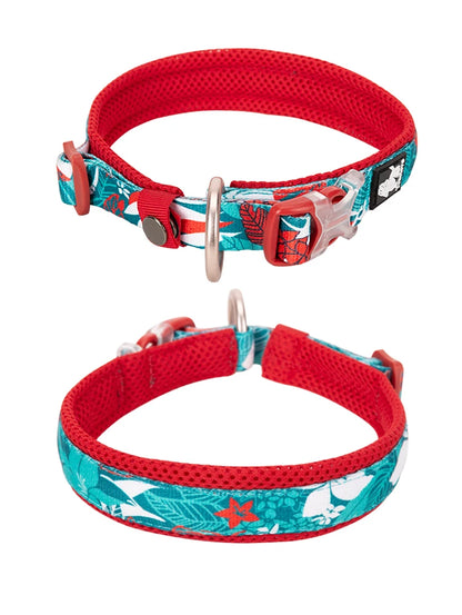 Floral Padded Dog Collar – Stylish, Comfortable & Secure! - Pet house