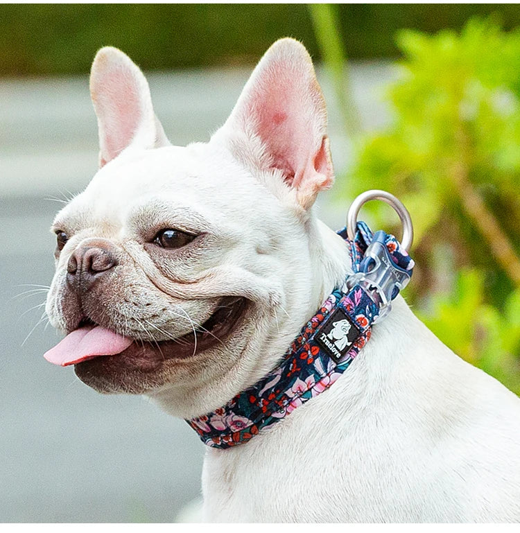 Floral Padded Dog Collar – Stylish, Comfortable & Secure! - Pet house