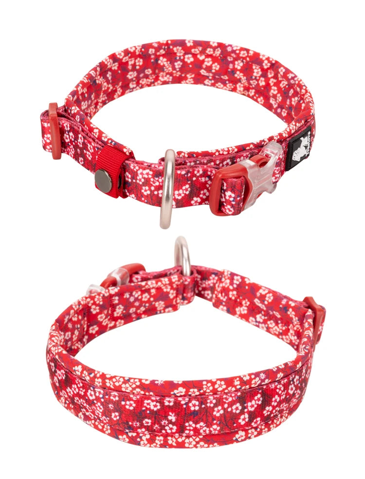 Floral Padded Dog Collar – Stylish, Comfortable & Secure! - Pet house