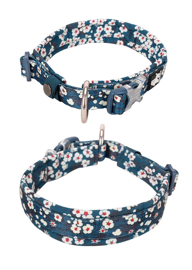 Floral Padded Dog Collar – Stylish, Comfortable & Secure! - Pet house