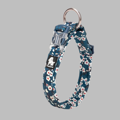 Floral Padded Dog Collar – Stylish, Comfortable & Secure! - Pet house