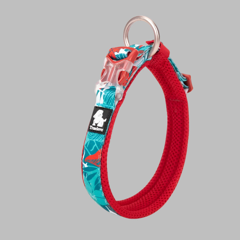 Floral Padded Dog Collar – Stylish, Comfortable & Secure! - Pet house