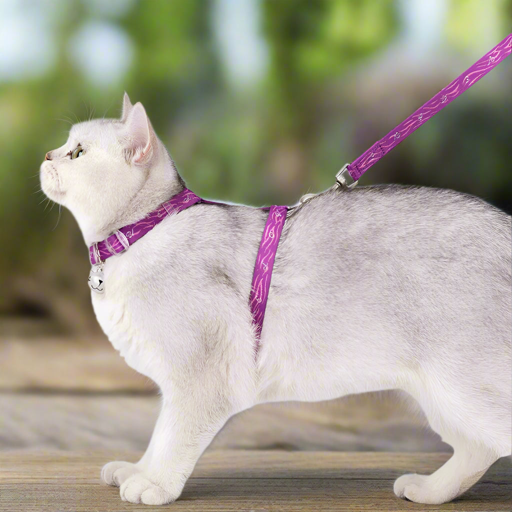 Escape-Proof H-Shape Cat & Puppy Harness with Leash Set – Secure & Comfortable! - Pet house