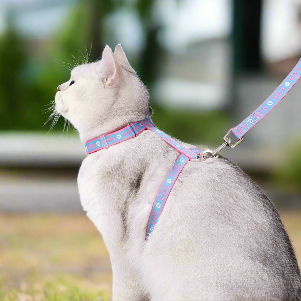 Escape-Proof H-Shape Cat & Puppy Harness with Leash Set – Secure & Comfortable! - Pet house