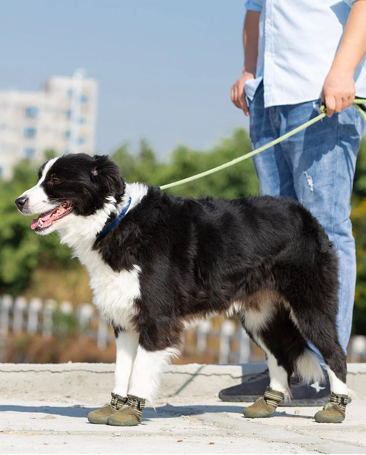 Waterproof Anti-Slip Dog Shoes – Protect Your Pet’s Paws! - Pet house