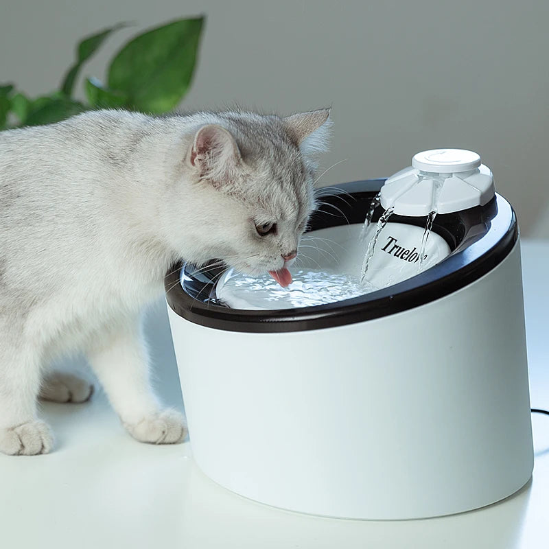 Automatic Pet Water Fountain – Ultra-Quiet, USB-Powered &amp; Fresh Flowing Water! - Pet house