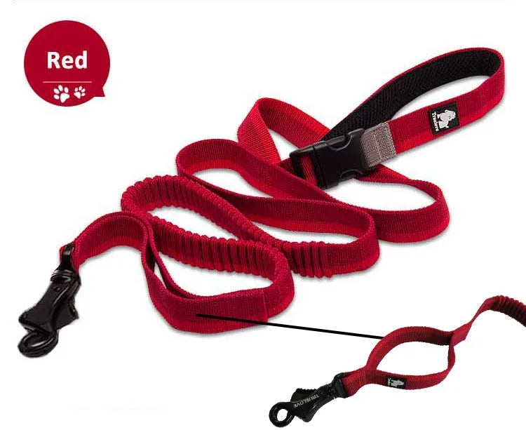 Hands-Free Bungee Dog Leash – Adjustable, Shock-Absorbing & Secure! - Pet house