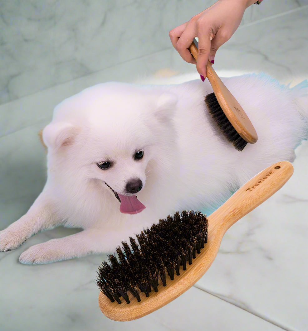 Natural Bamboo Bristle Brush – Gentle Grooming for Dogs & Cats! - Pet house