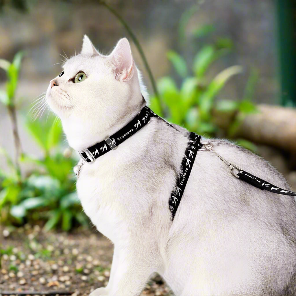 Escape-Proof H-Shape Cat & Puppy Harness with Leash Set – Secure & Comfortable! - Pet house