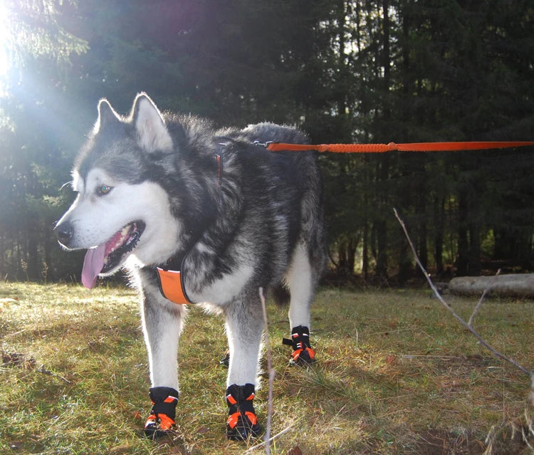 Water-Resistant Dog Boots – Anti-Slip, Reflective & Rugged! - Pet house