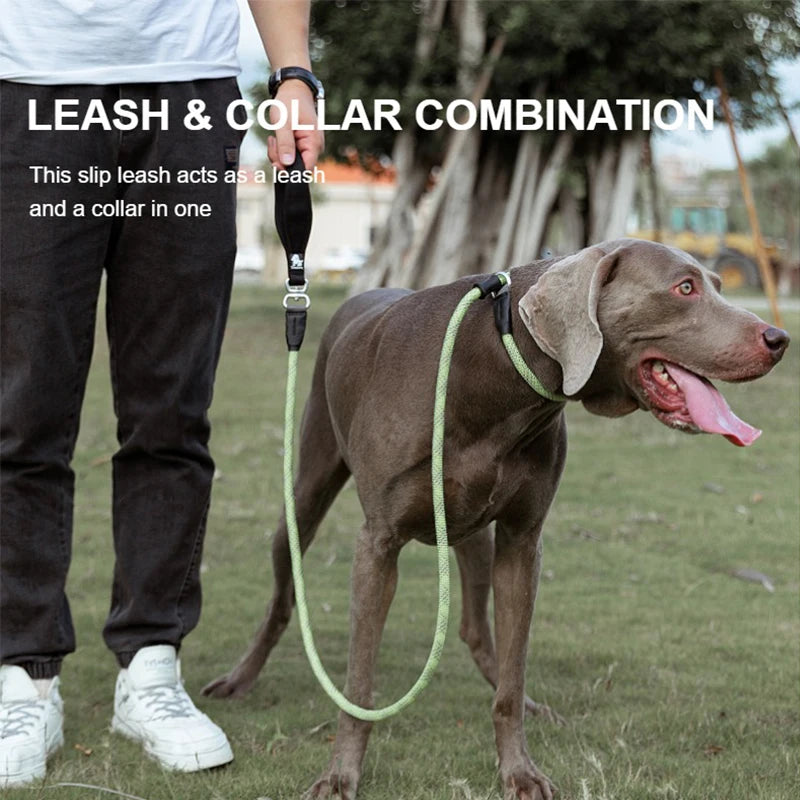 Hands-Free Tactical Dog Leash – Heavy-Duty & Adjustable! - Pet house