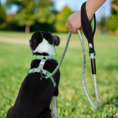 Hands-Free Tactical Dog Leash – Heavy-Duty & Adjustable! - Pet house