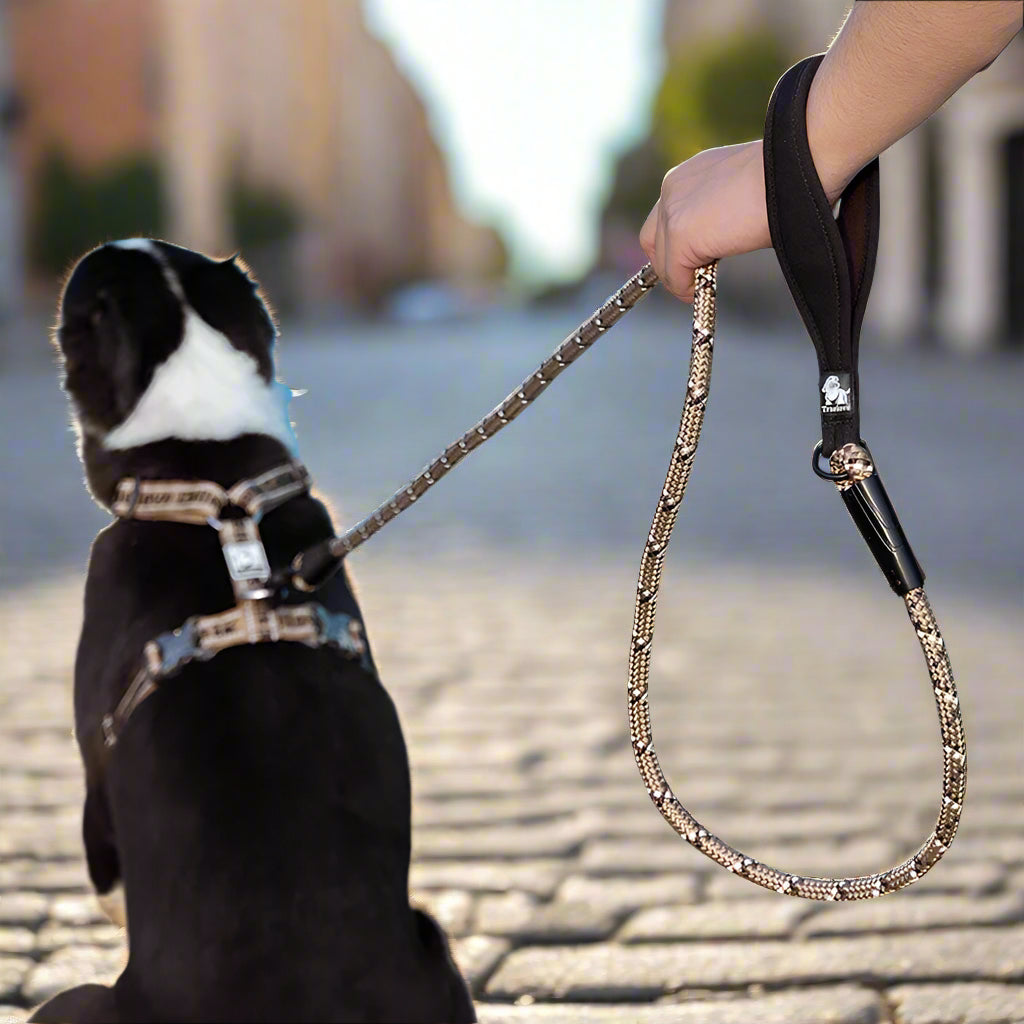 Hands-Free Tactical Dog Leash – Heavy-Duty & Adjustable! - Pet house