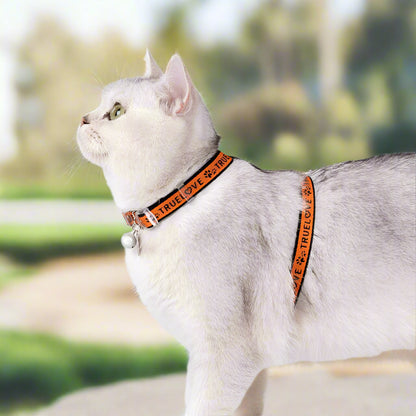 Escape-Proof H-Shape Cat & Puppy Harness with Leash Set – Secure & Comfortable! - Pet house